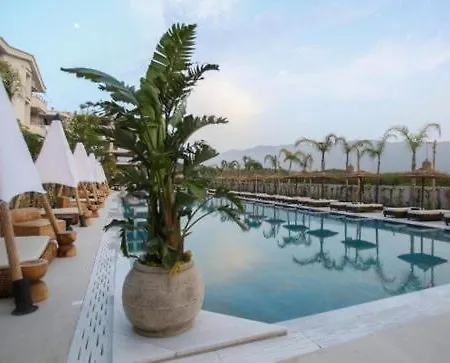 Radhime Luxury Sleeps 5 Appartement Orikum